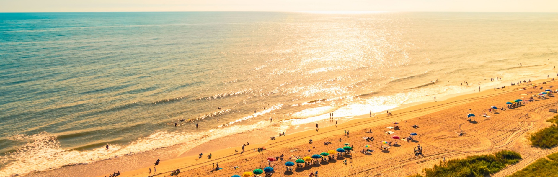 Image for Sunshine Beyond Summer